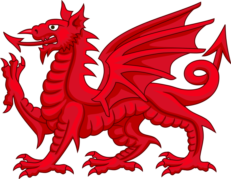 This image has an empty alt attribute; its file name is image-4.png
